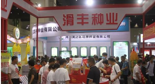 聚焦創新與機遇 河南滑豐種業閃耀2021河南夏季種子信息交流產品展