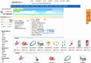 電子商務 飛極下載站